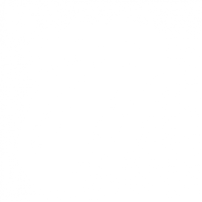 Rolling Stones Langue