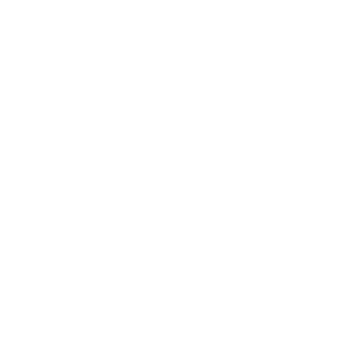 Logo 007