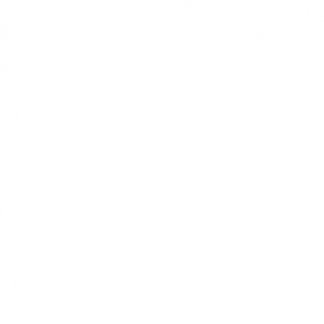 Skateur Flip