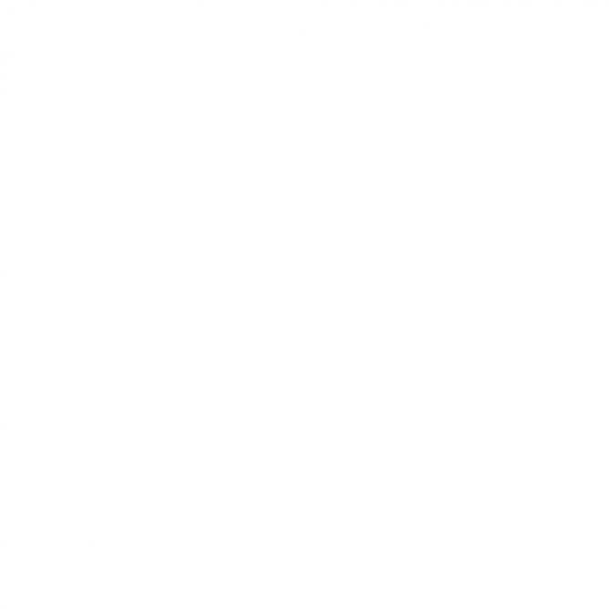 Skateur