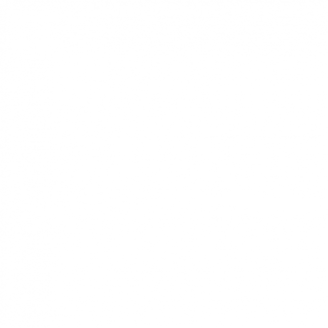 Oiseaux sur Branche